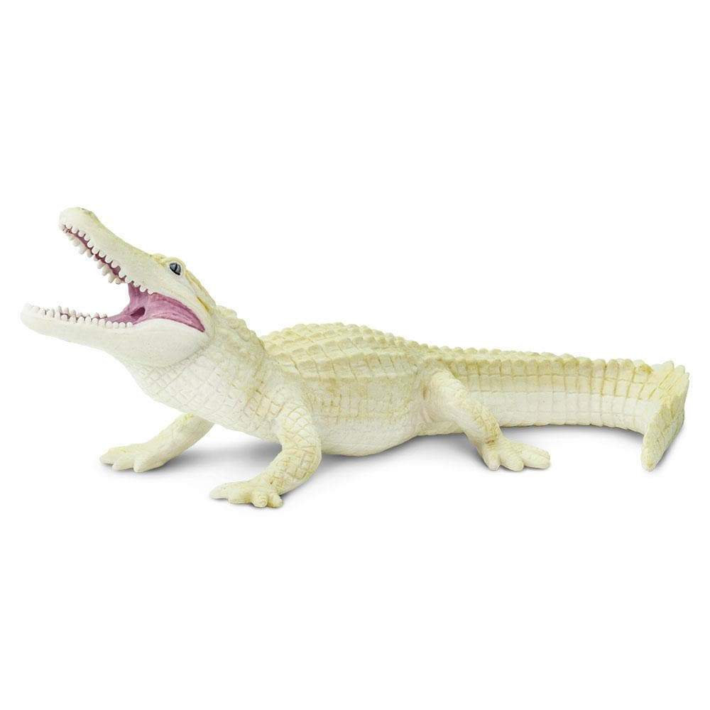 Safari Ltd - Alligator white