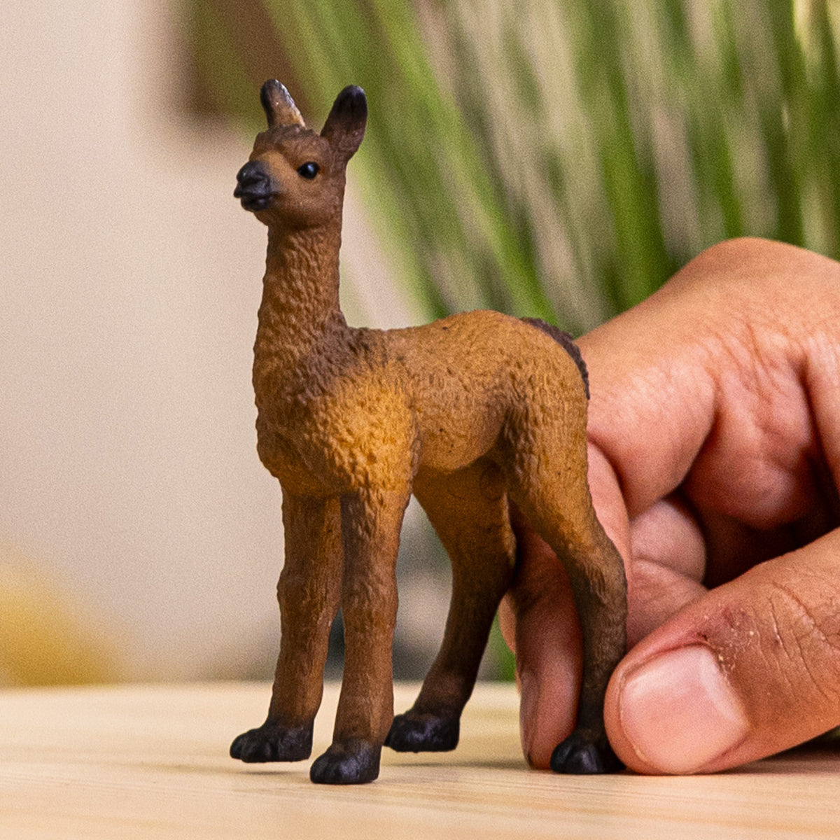 Schleich - Lama foal