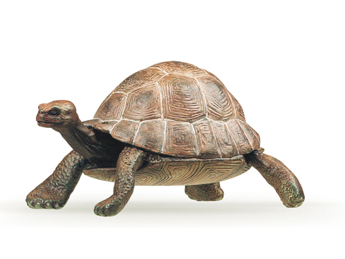 Papo - Landsköldpadda