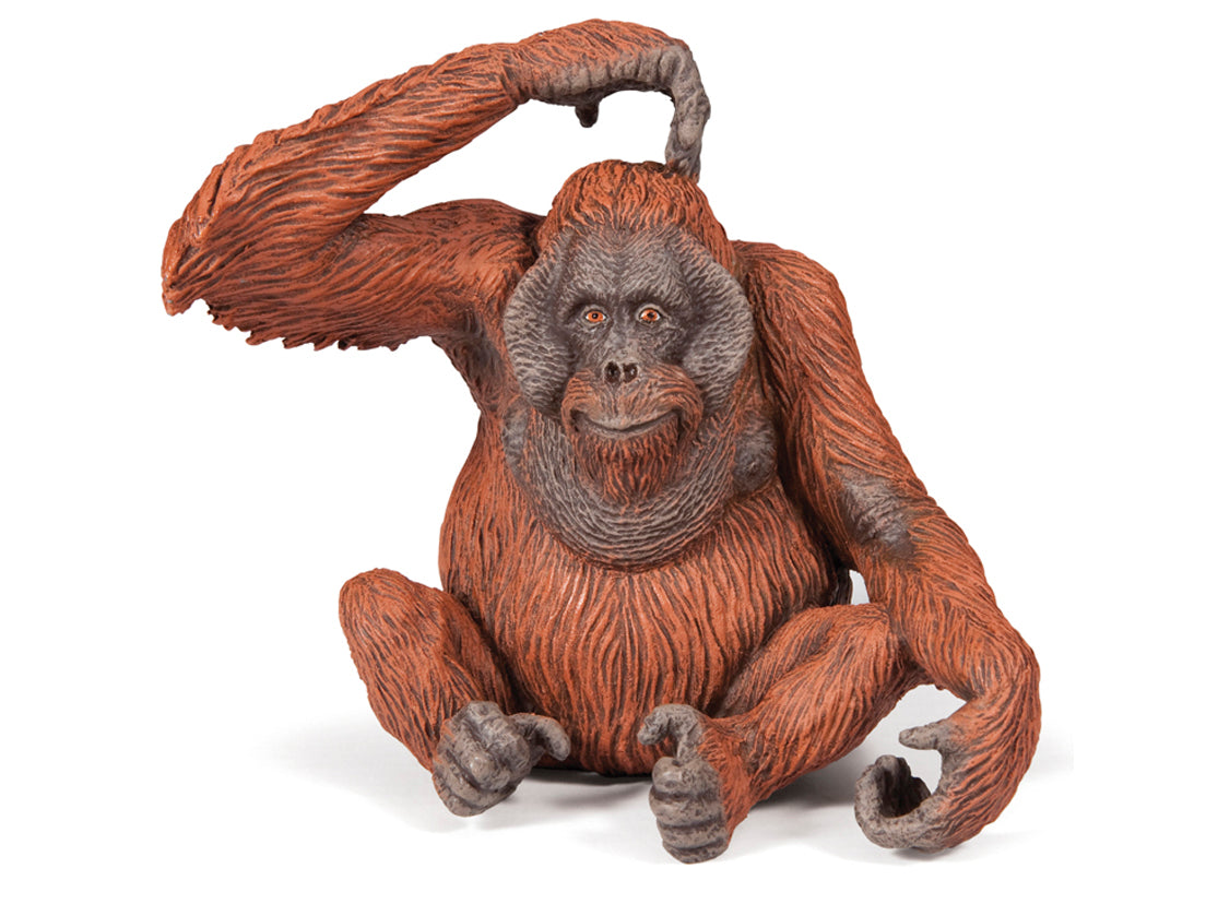 Papo - Orangutang hane
