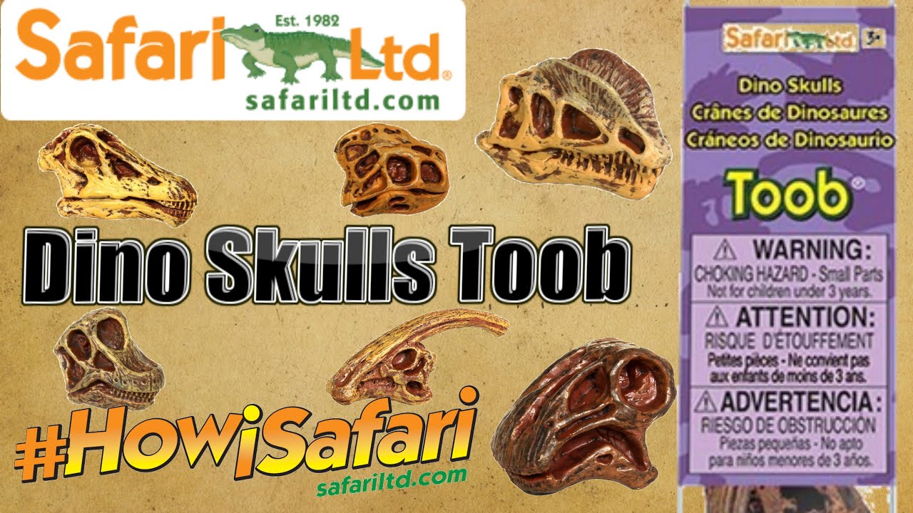 Safari Ltd - Dinosaur Skulls TOOB®