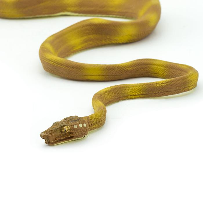Safari Ltd - Amazon Tree Boa