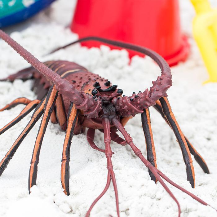 Safari Ltd - Spiny Lobster