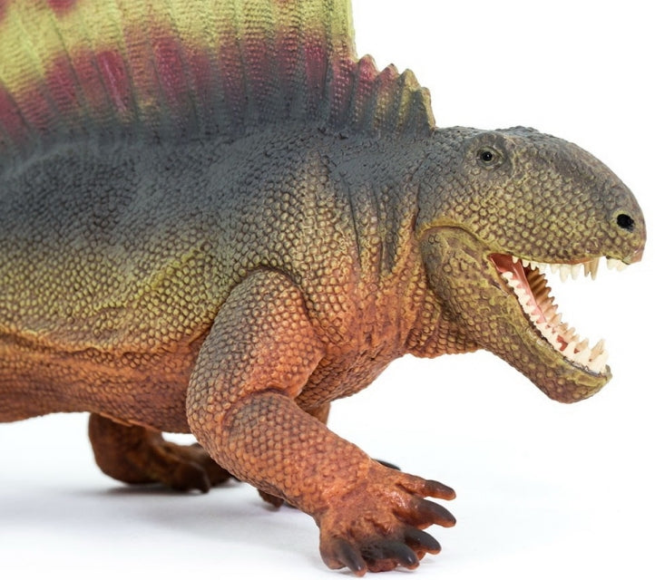 Safari Ltd - Dimetrodon