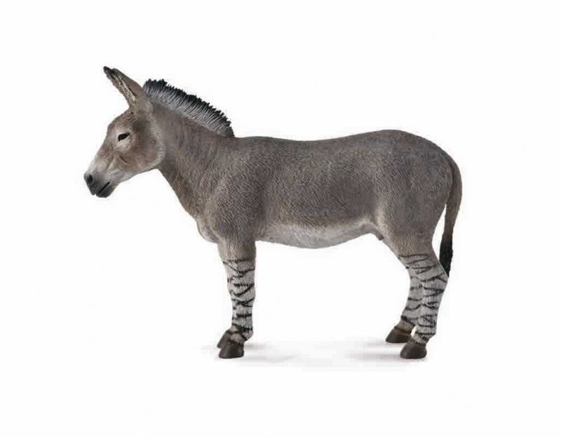 CollectA - Afrikansk Vildåsna