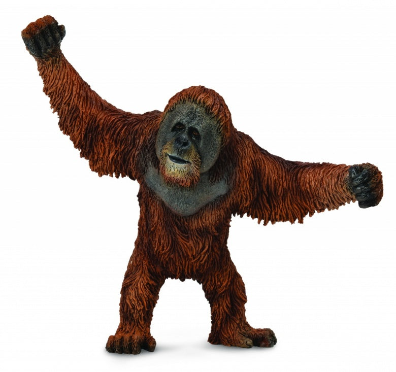 CollectA – Orangutang (Hane)