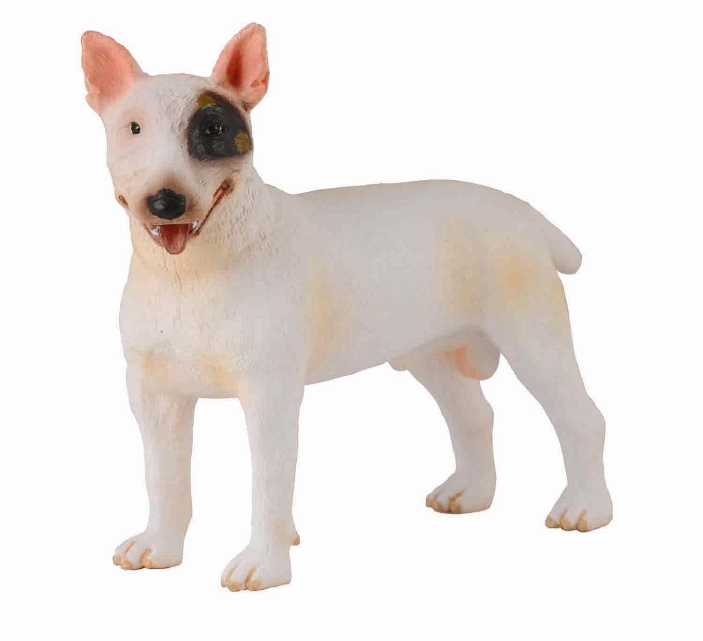 Bullterrier (hane)