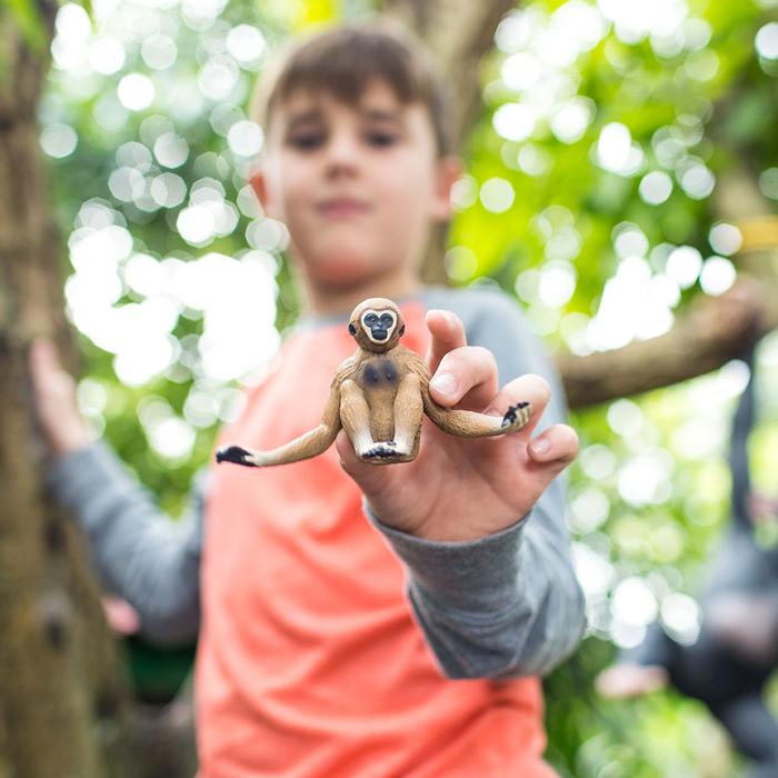 Safari Ltd - Gibbon (big model)