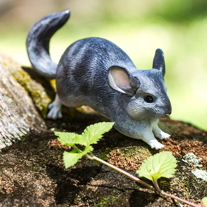 Safari Ltd - Chinchilla