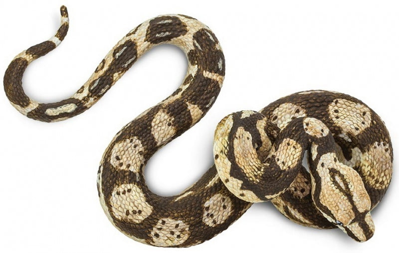 Kungsboa
