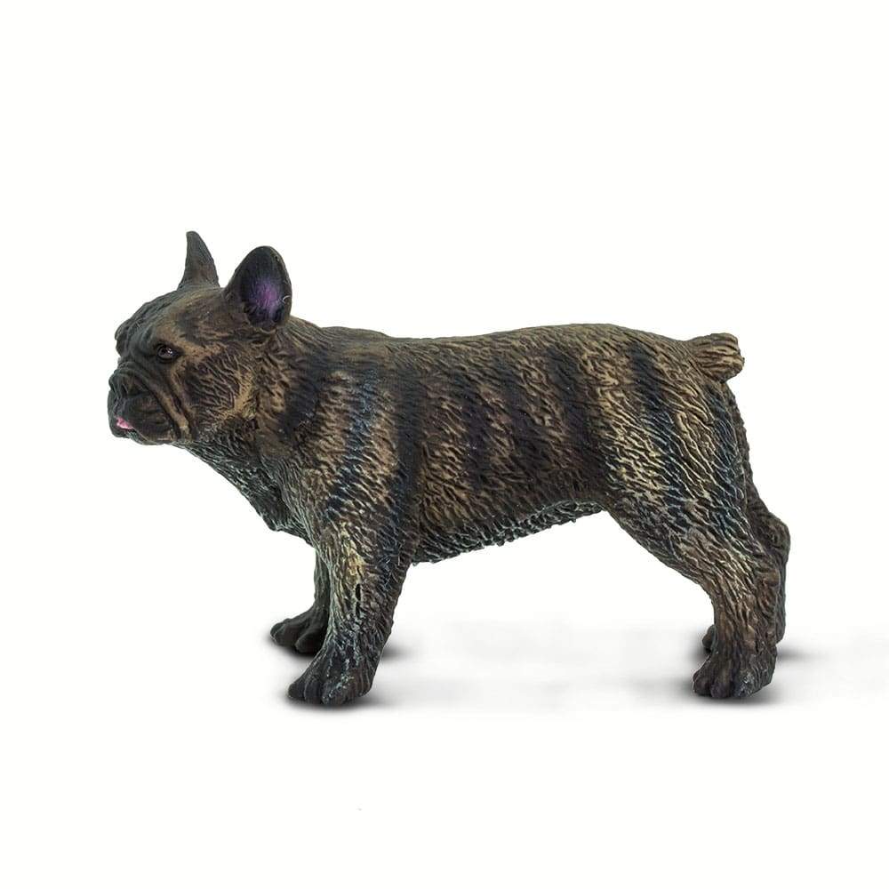 Fransk Bulldog