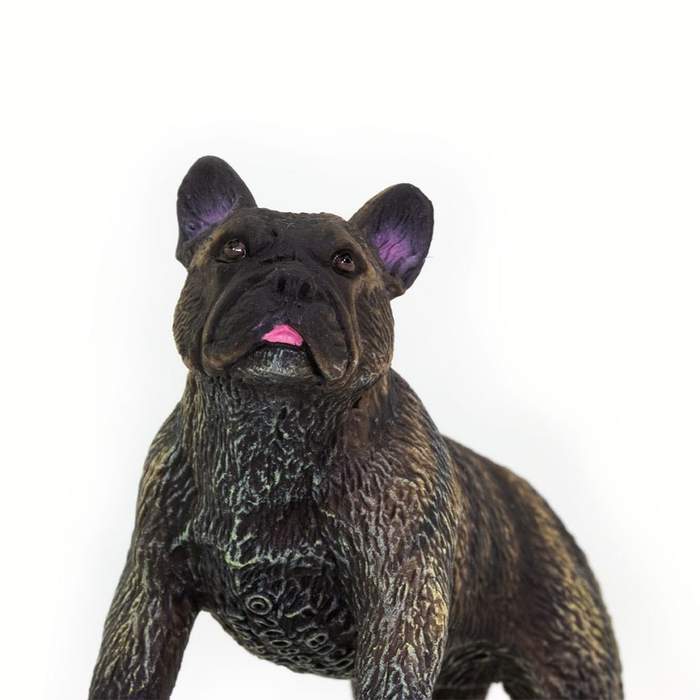 Fransk Bulldog