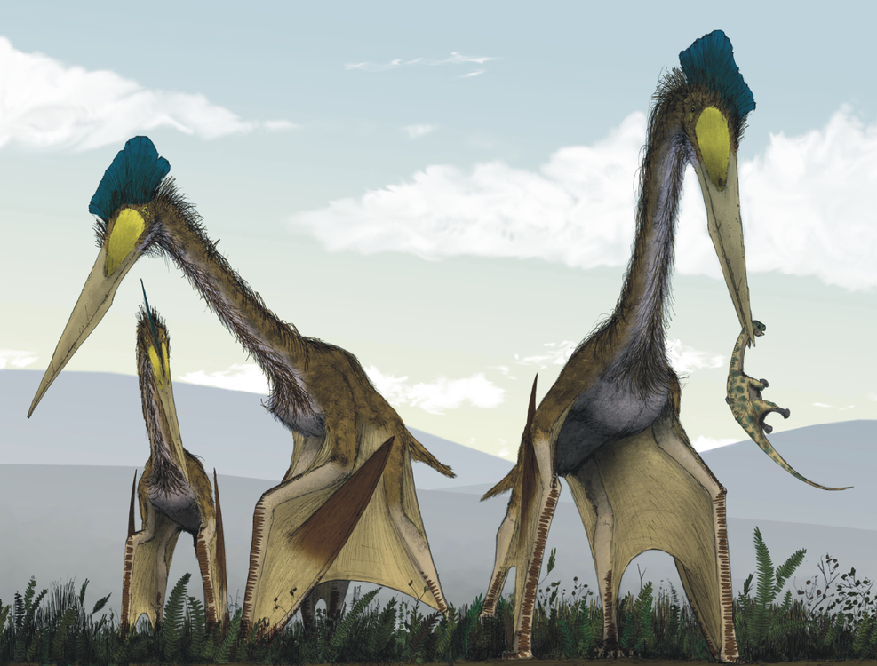 CollectA - Quetzalcoatlus med byte