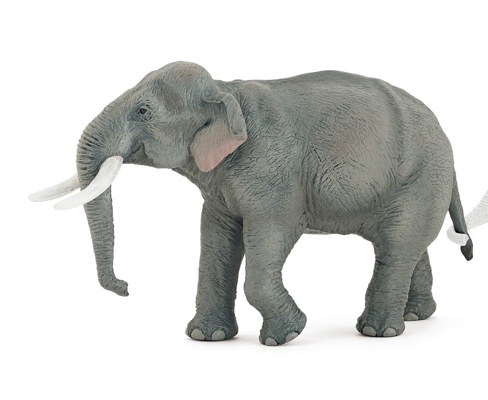 Papo - Asiatisk elefant