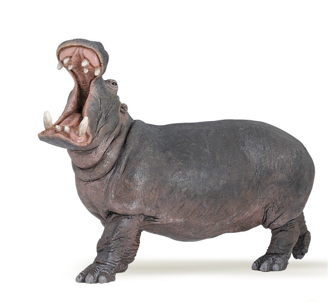Papo - Hippo