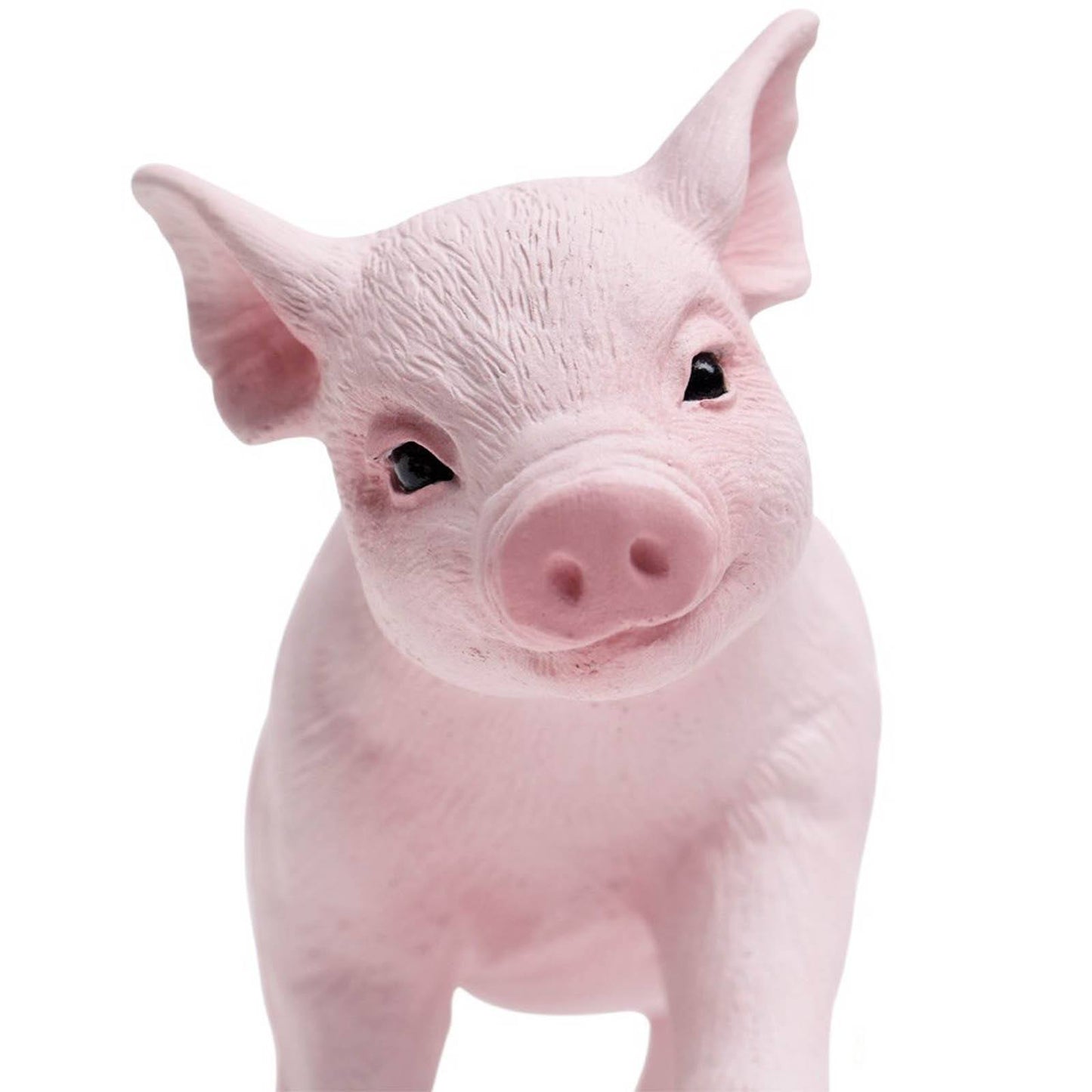 Safari Ltd -  Piglet