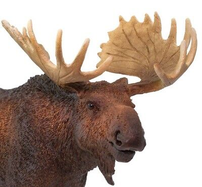 Safari Ltd - Moose (Scale:1:15)