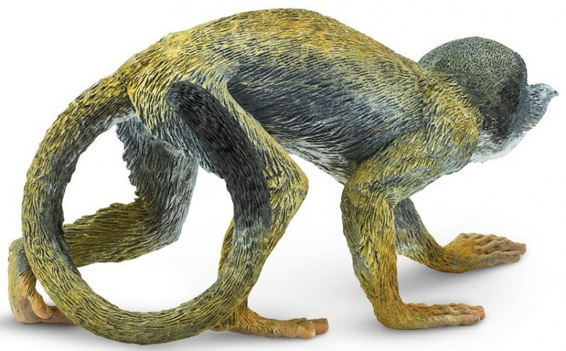 Safari Ltd - Squirrel monkey (skull monkey, large model)