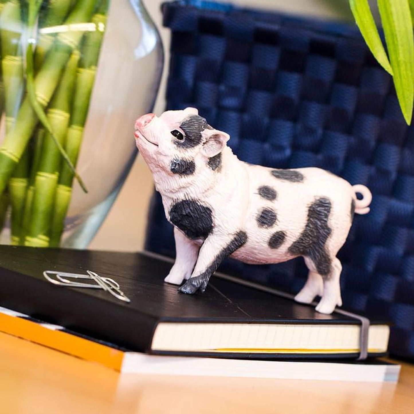 Safari Ltd - Spotted Mini Pig (large model)
