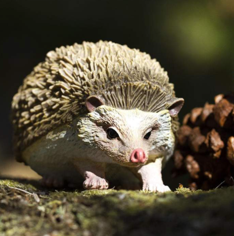 Safari Ltd - Hedgehog