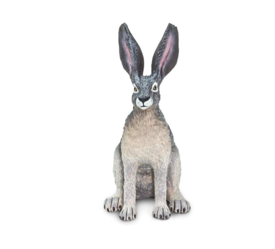 Safari Ltd - American desert hare