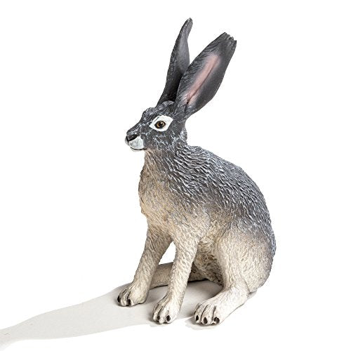 Safari Ltd - American desert hare