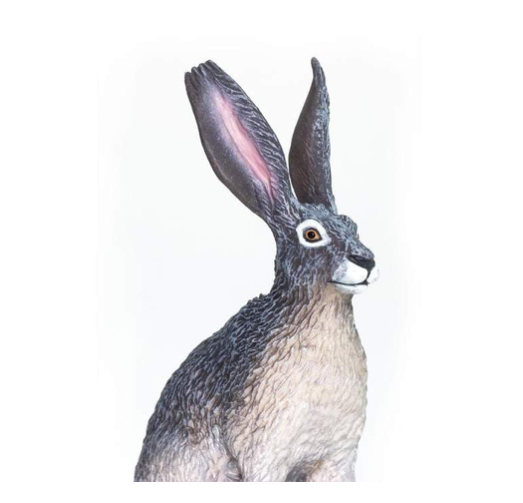 Safari Ltd - American desert hare