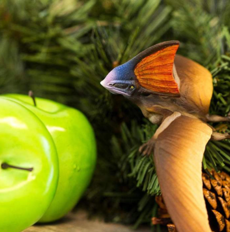 Safari Ltd - Tapejara