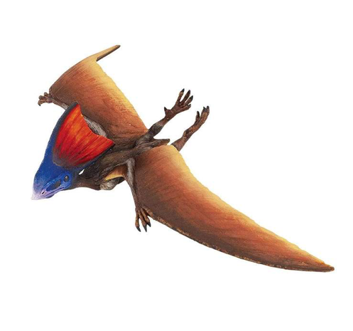 Tapejara