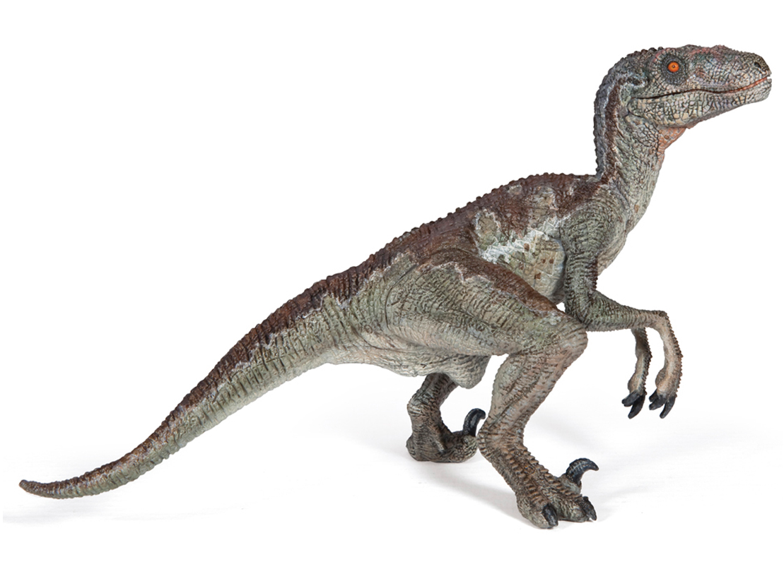 Papo - Velociraptor (grå)