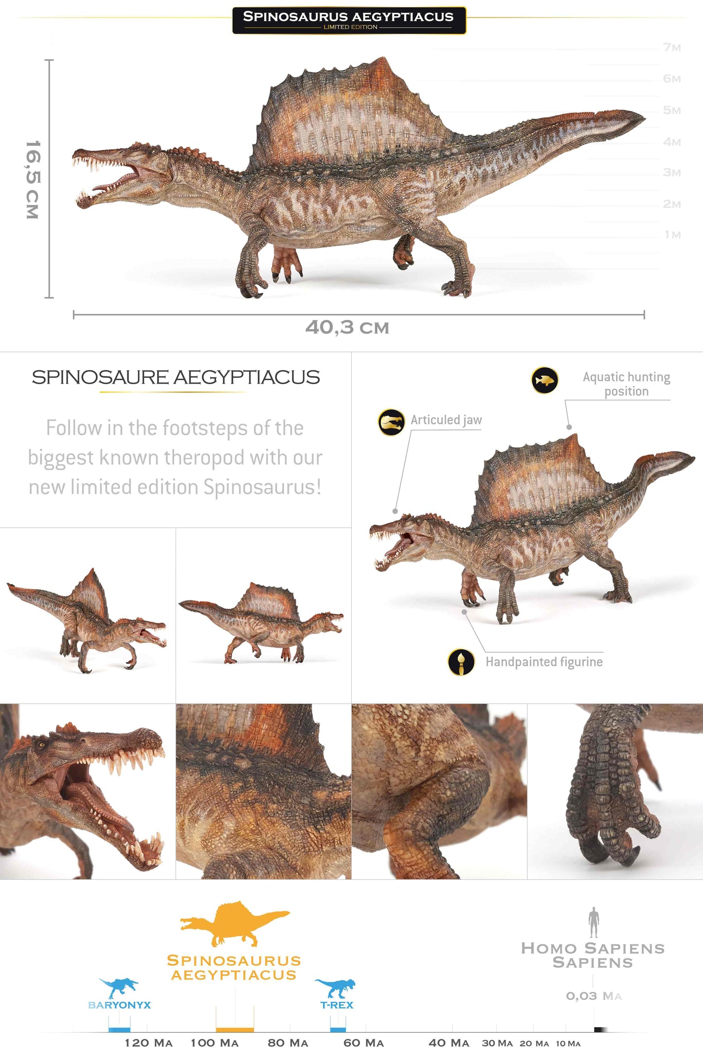 Spinosaurus Aegyptiacus LIMITED EDITION!
