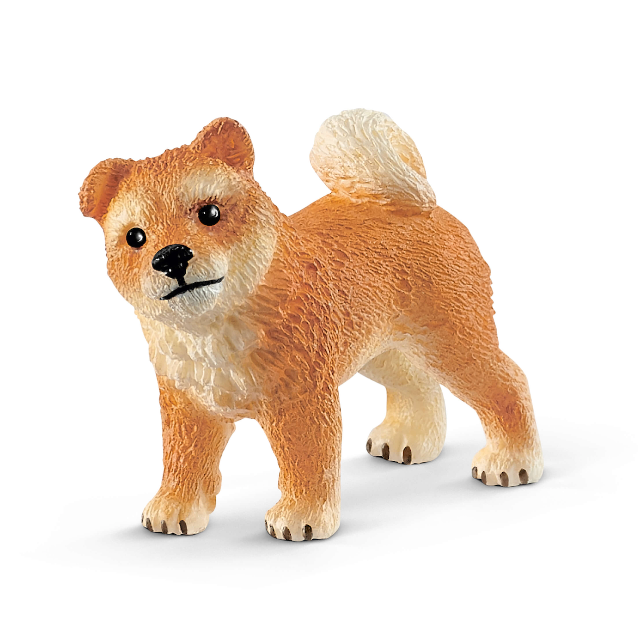 Shiba inu, tik och valp