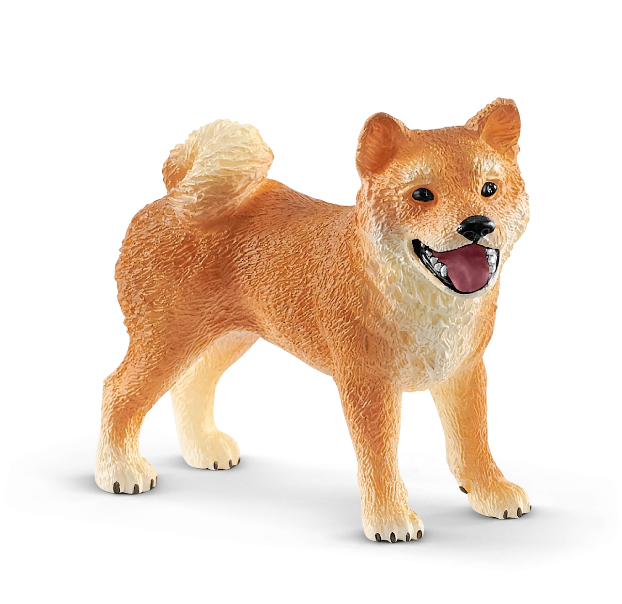 Shiba inu, tik och valp