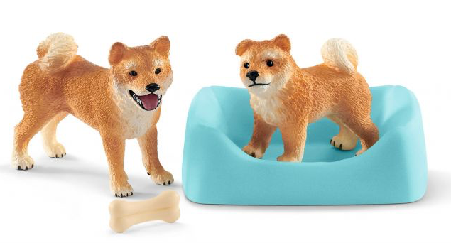 Shiba inu, tik och valp
