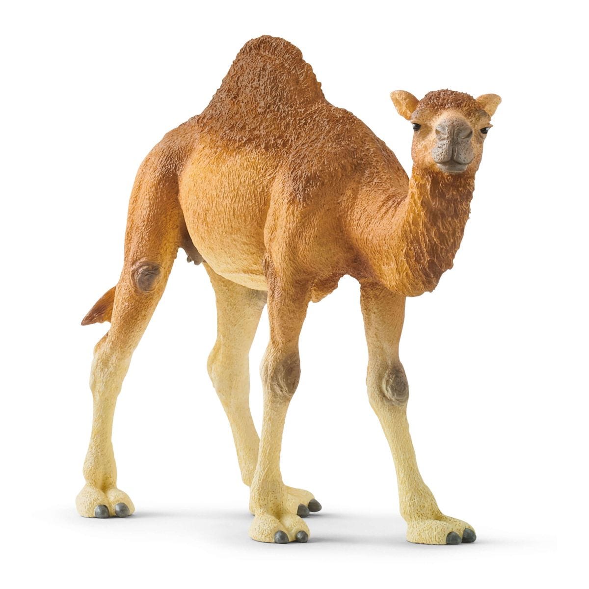 Schleich - Dromedary