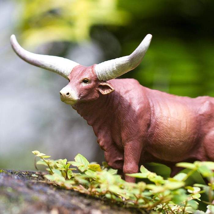 Safari Ltd - Watusi bull