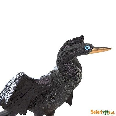 Amerikansk ormhalsfågel (Anhinga)