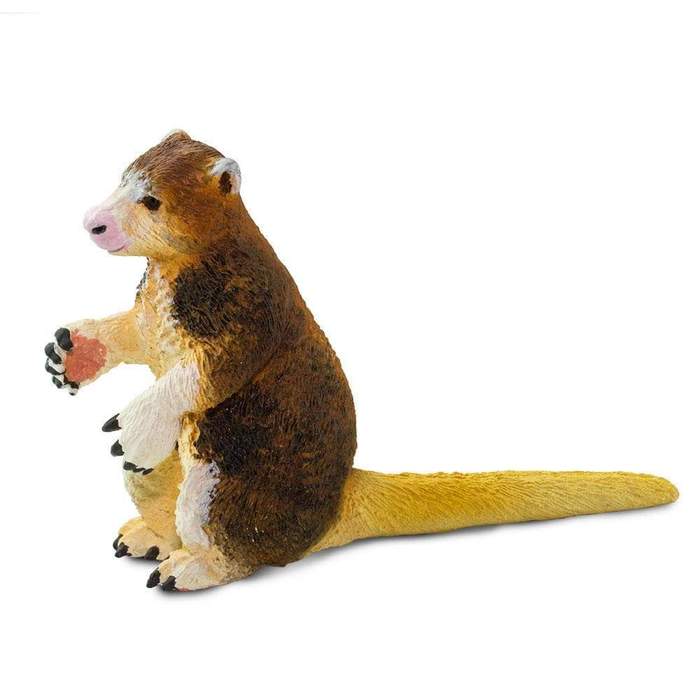 Matschies trädkänguru
