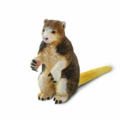 Matschies trädkänguru