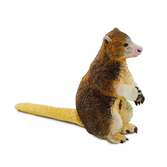 Matschies trädkänguru