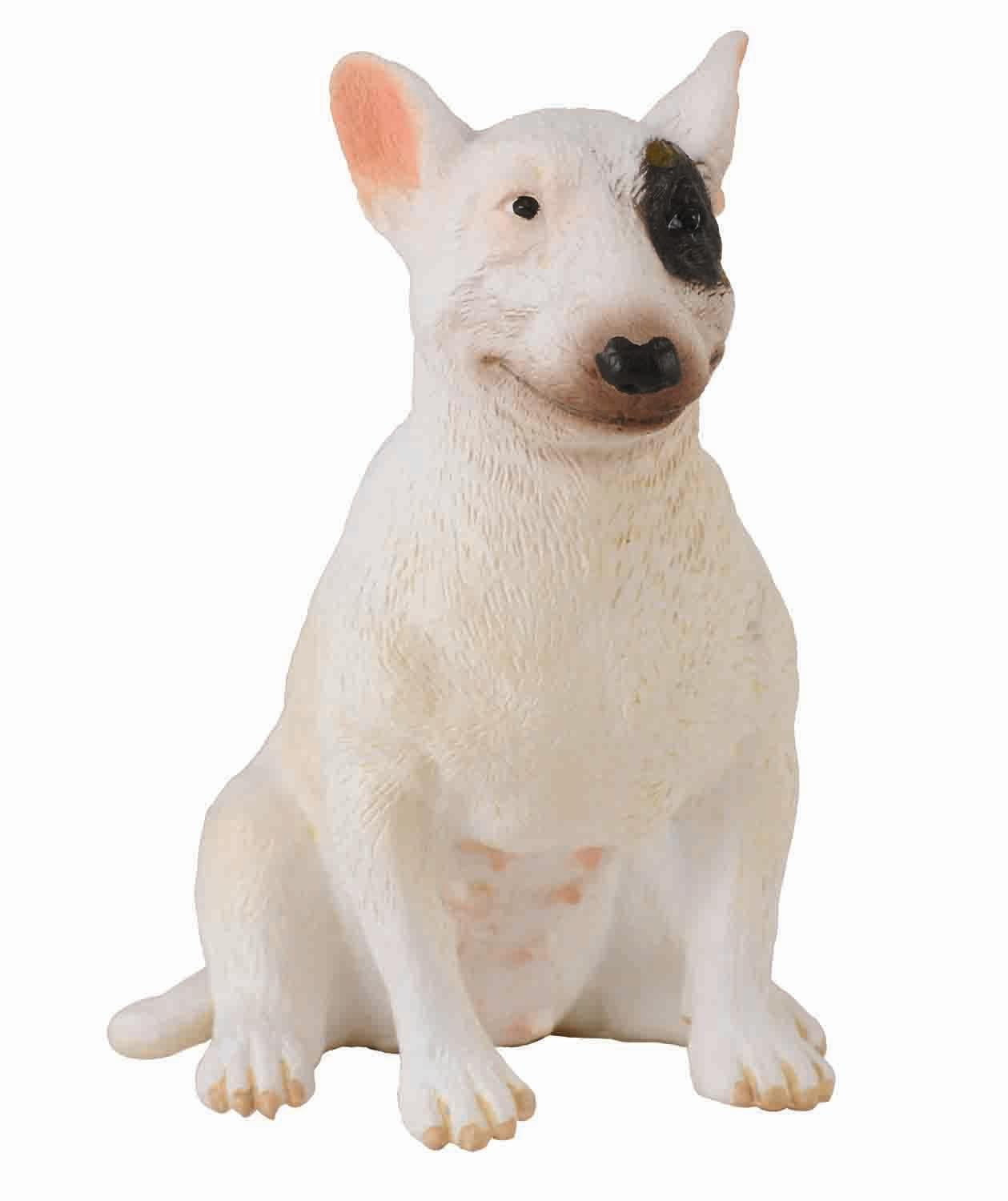 Bullterrier sittande tik
