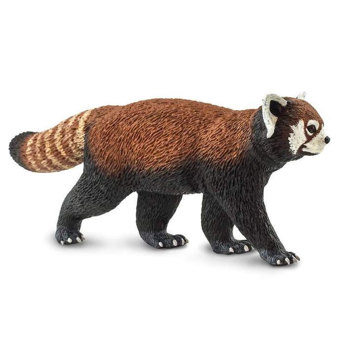Röd panda (Skala: 1:5.5 kattbjörn)
