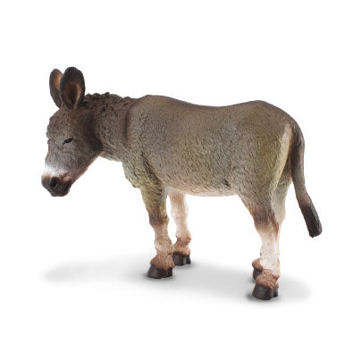 Donkey gray
