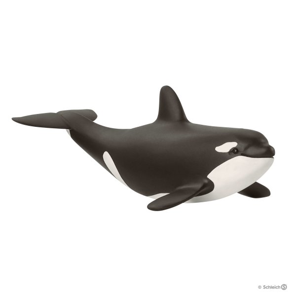 Schleich - Killer whale, cub