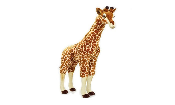 National Geographic: Giraff