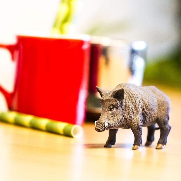 Safari Ltd - Vildsvin