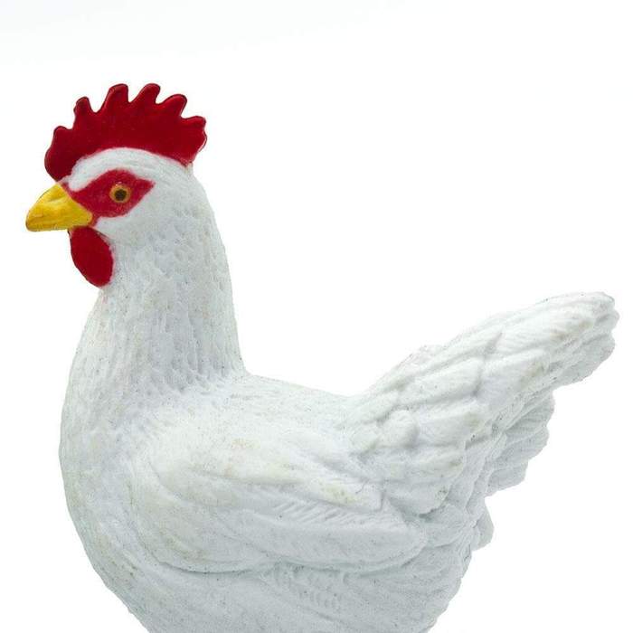 Höna vit (leghorn)