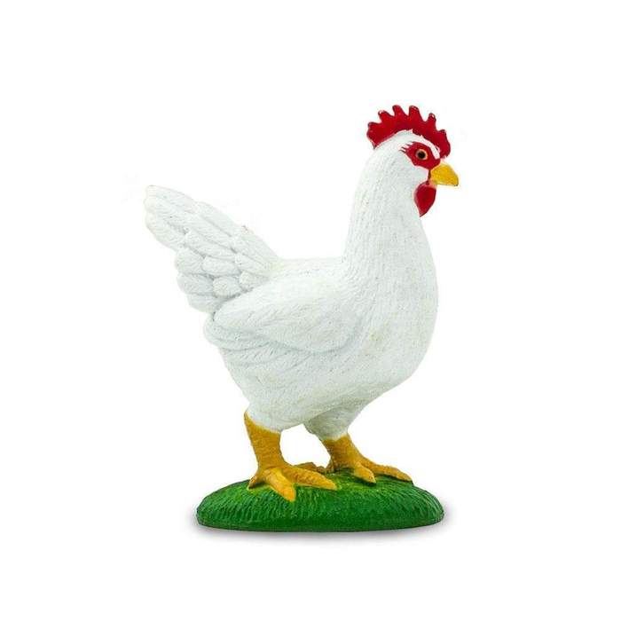 Höna vit (leghorn)