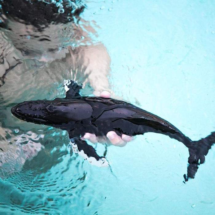 Safari Ltd - Humpback Whale Exclusive (scale 1:40)