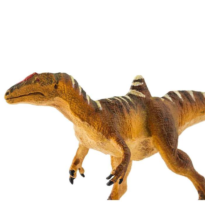 Safari Ltd - Concavenator